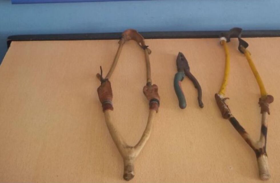 Cuatro detenidos por robar alambrado perimetral