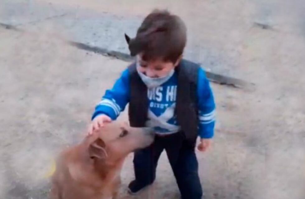 Río Cuarto: con sólo cuatro años salió a alimentar a los perros callejeros