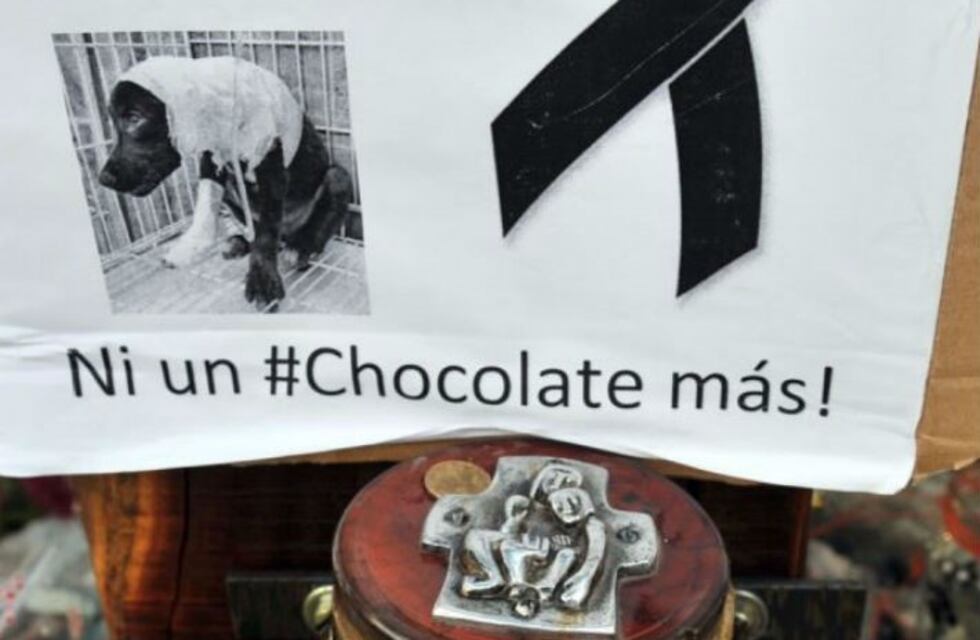 San Francisco: realizarán un homenaje a Chocolate