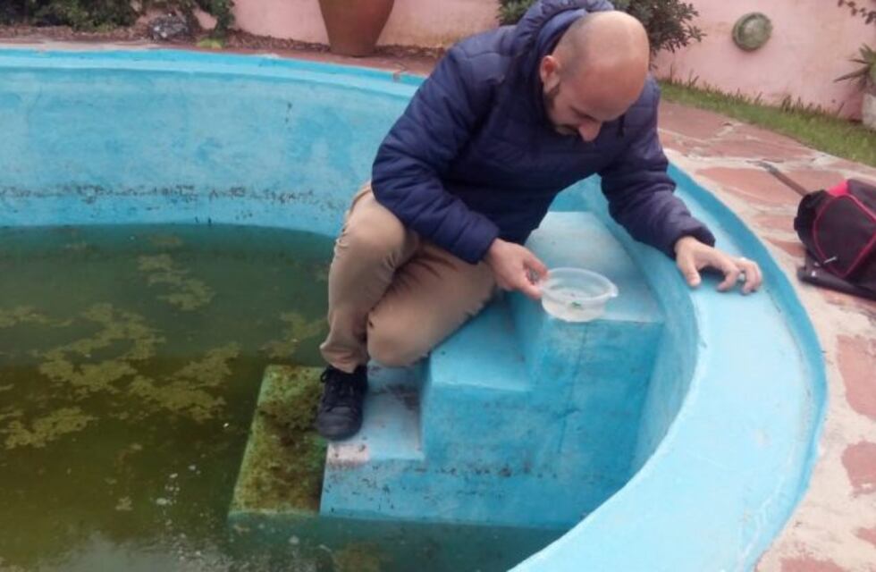 Realizan bloqueo preventivo ante la circulación del mosquito transmisor del dengue