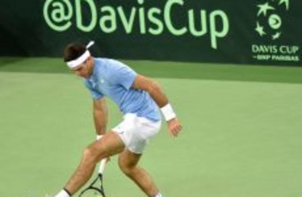 Del Potro agregó un nuevo torneo ATP a su agenda