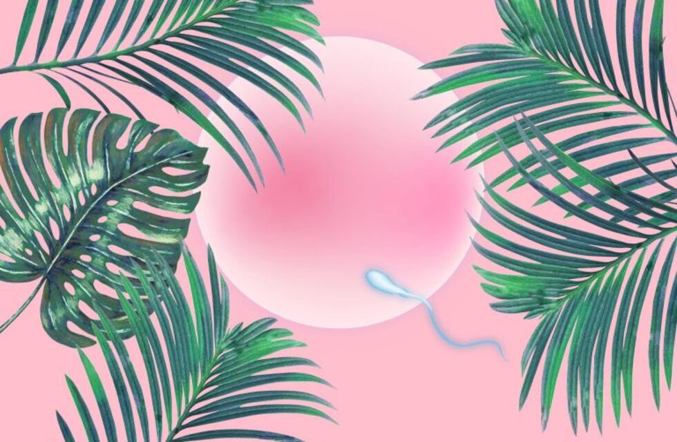 Cada vez es más caro congelar óvulos