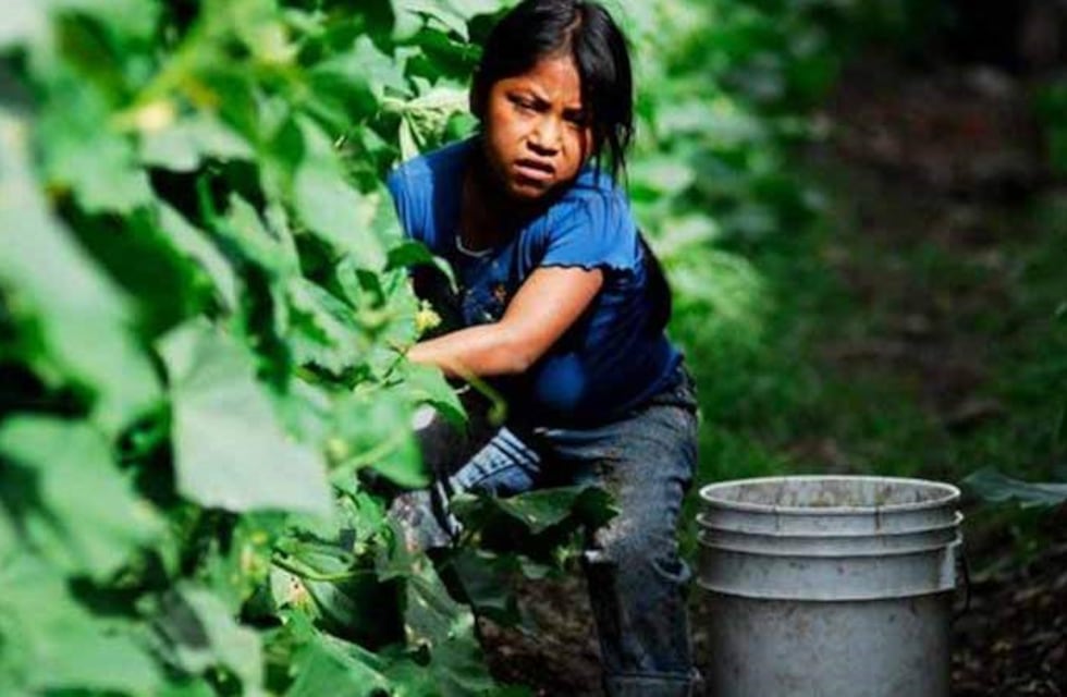 Miryam Espinoza: "Al trabajo infantil se llega por pobreza, desempleo, falta de oportunidades o violencia familiar"