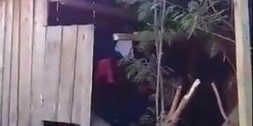 Operarios municipales derribaron un árbol que cayó sobre una casa en Oberá