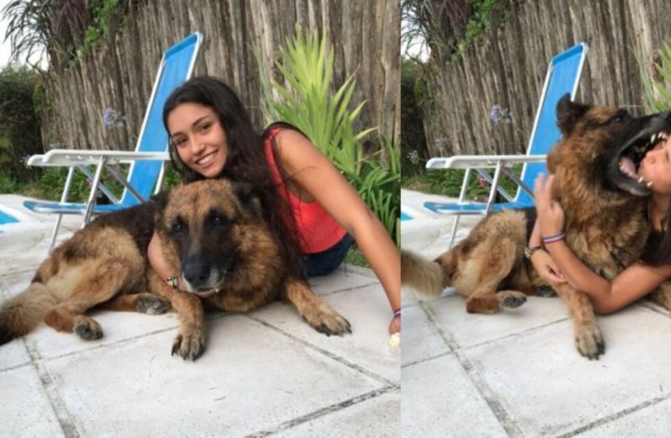 Quiso sacarse una foto con su perro 'Kenai' pero terminó con la cara destrozada