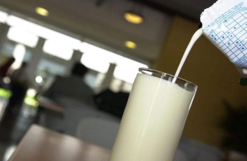 Oferta de campaña: una cooperativa venderá el litro de leche a 33 pesos