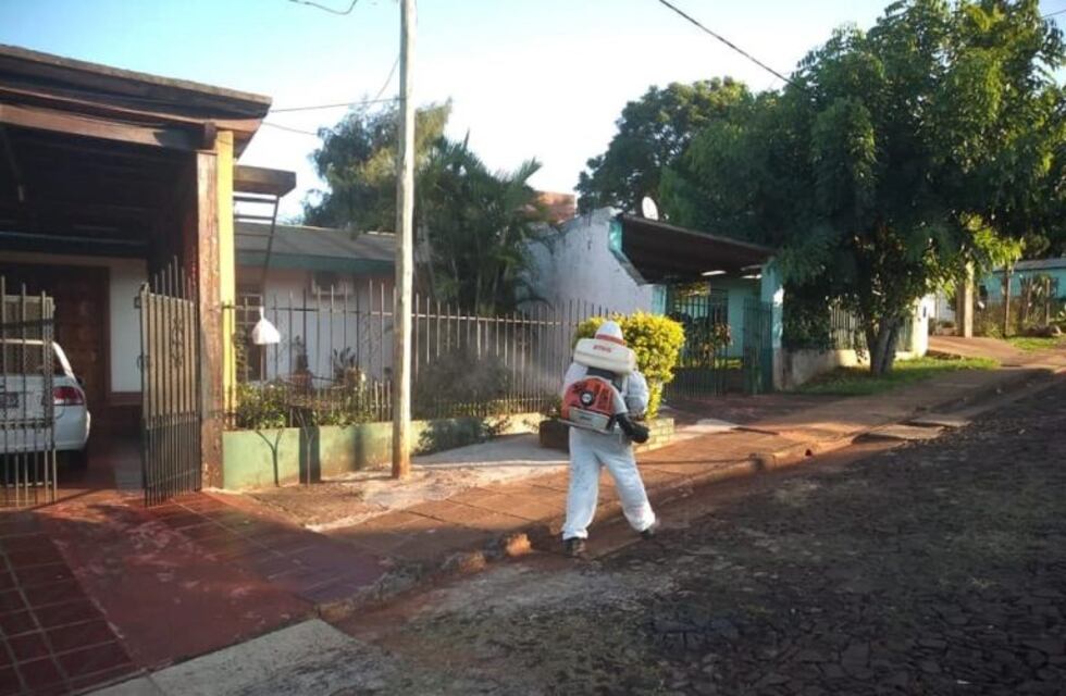 Alem trabaja contra las enfermedades vectoriales