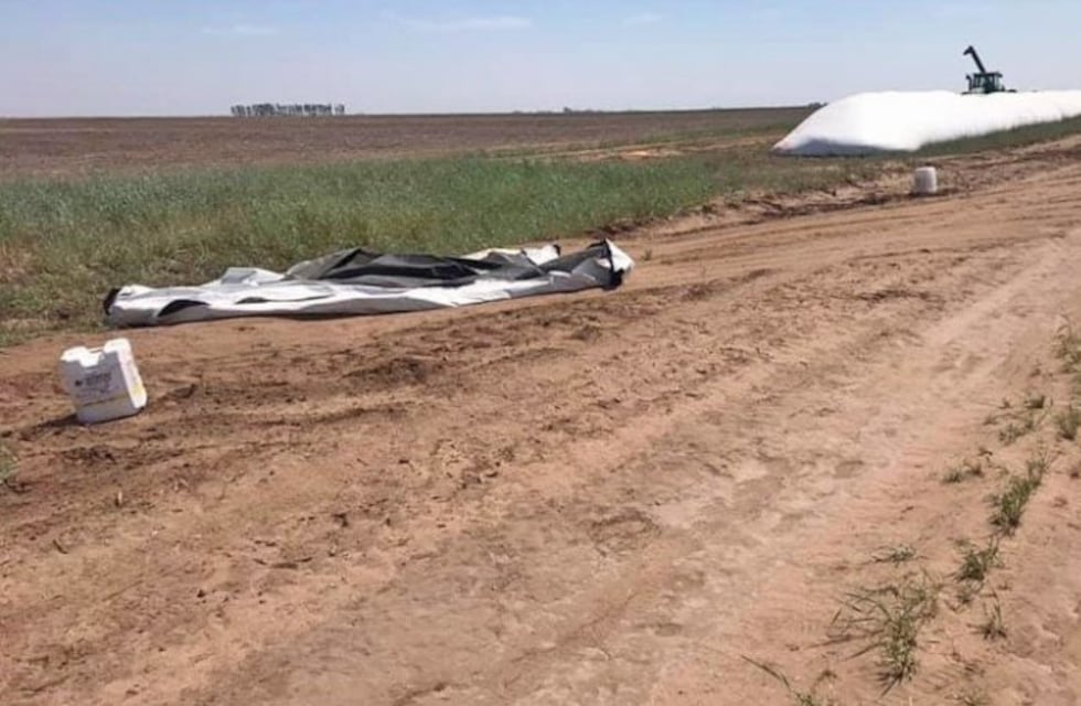 Cuantioso robo de soja en un campo en cercanías de Mackenna