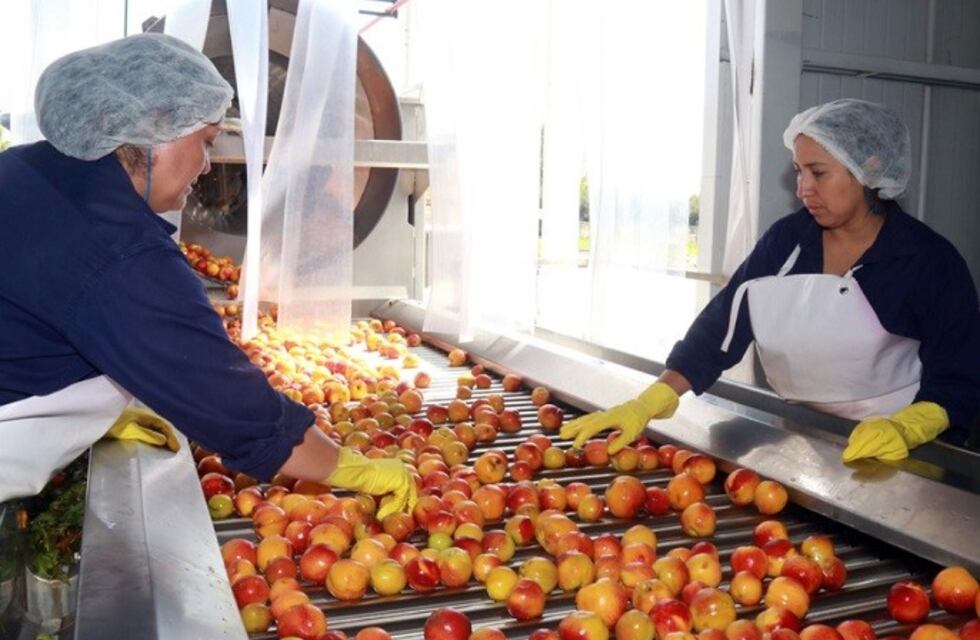 Badaloni: "las industrias tienen que empezar a reconvertirse"