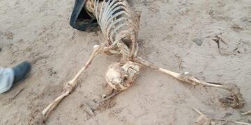 Los hallazgos se produjeron del lado paraguayo y brasilero del río\u002E