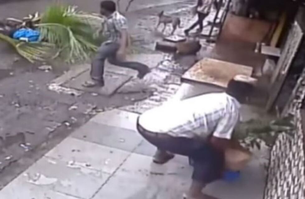 Estremecedor: famosa conductora de TV de India murió aplastada por una palmera