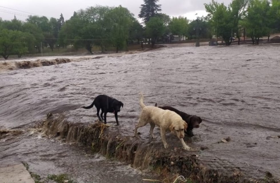 Impactante crecida del río en Santa Rosa de Calamuchita