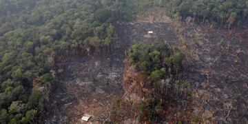 An aerial view of a deforested plot of the Amazon near Humaita, Amazonas State, Brazil August 22, 2019\u002E REUTERS/Ueslei Marcelino