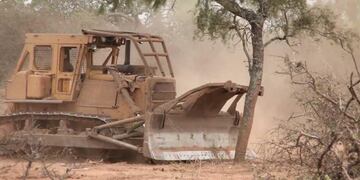 Desmonte ilegal en Salta (Imagen ilustrativa)