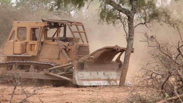 Desmonte ilegal (Imagen ilustrativa)