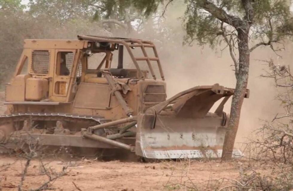 Condenaron a un productor agrario por desmonte ilegal
