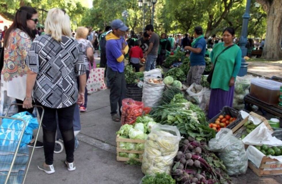 Feriazo en pleno centro de Mendoza, $15 el kilo de verdura