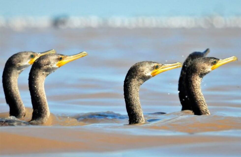 Clima en Ansenuza: cómo estará el tiempo para este jueves 22 de abril