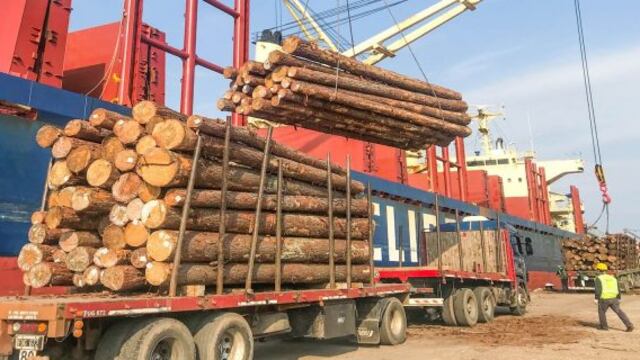 Puerto de Ibicuy - exportan madera a China\nCrédito: Ministerio de la Producción