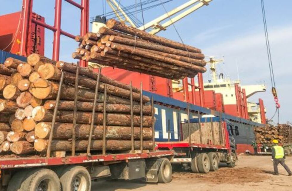 Desde el Puerto Ibicuy zarpó un nuevo embarque de madera hacia China