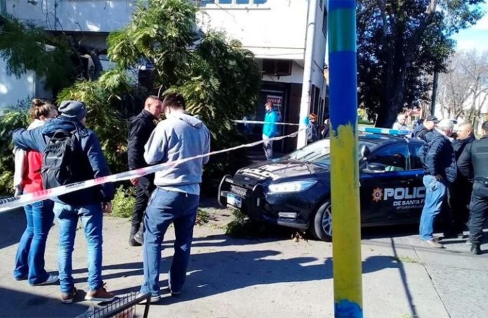 Robó un camión, manejó en contramano diez cuadras y lo detuvo un árbol