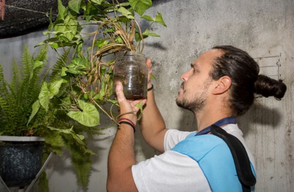 Dengue: comienza la temporada de monitoreos en Córdoba