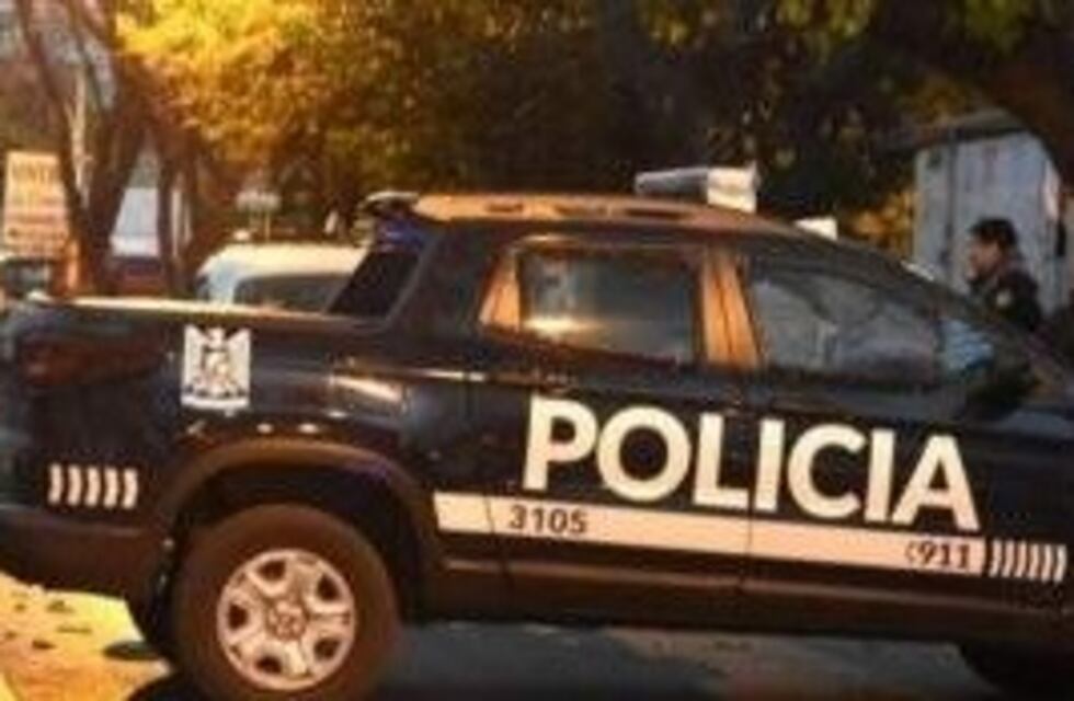 Robaron mercadería y 100 kilos de carne de un negocio en San Martín