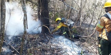 Un brigadista de Bariloche rescató un animal en peligro de extinción
