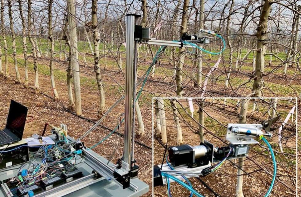El brazo robótico es el primer paso hacia la poda automatizada en árboles frutales