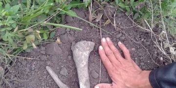 Huesos hallados en Cerro Azul\u002E