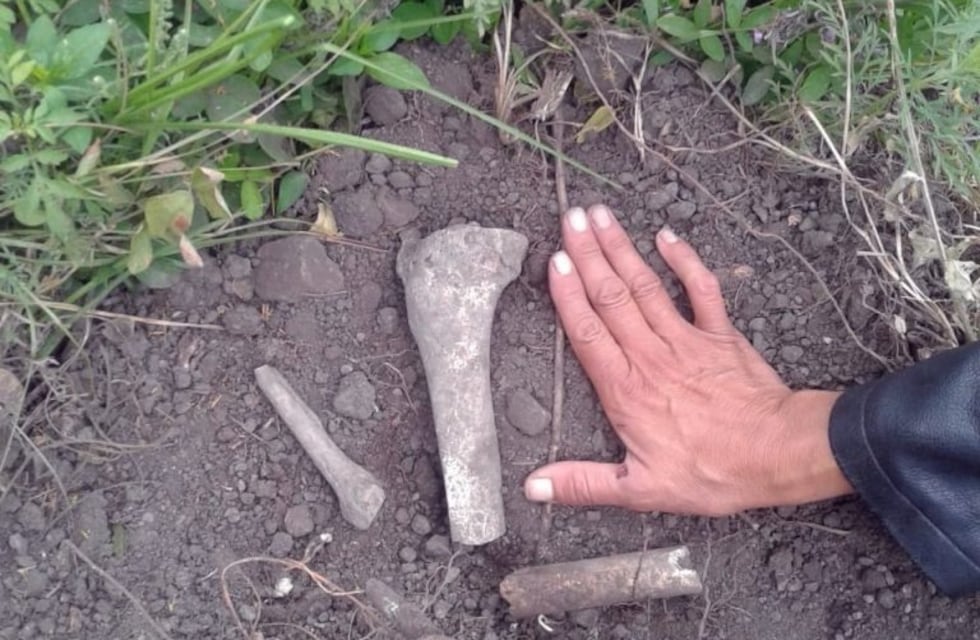 Los huesos encontrados en Cerro Azul tienen más de 500 años