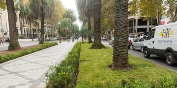 Remodelación arbolado y vegetación de boulevard Oroño (Flickr: Manolo74)