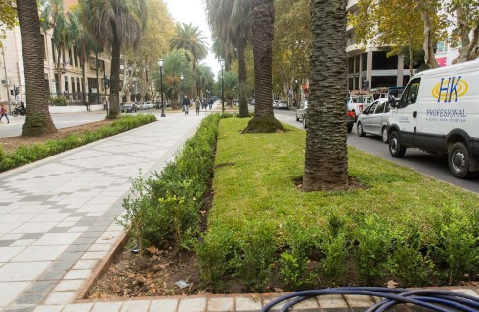 Los padres de los jóvenes que destrozaron el cantero de Oroño se harán cargo de los daños