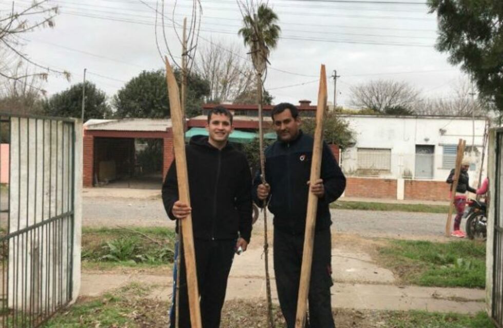 Esta semana finaliza la entrega de árboles en zona oeste