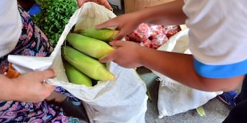 Feria sin agroquímicos\u002E