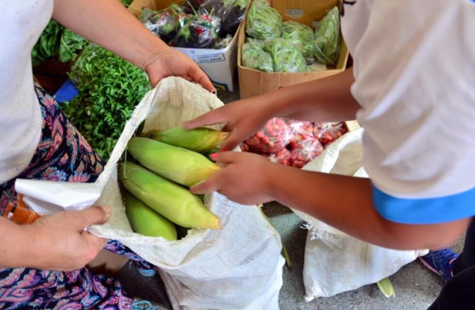 La "Feria Agroecológica" llega a Viedma