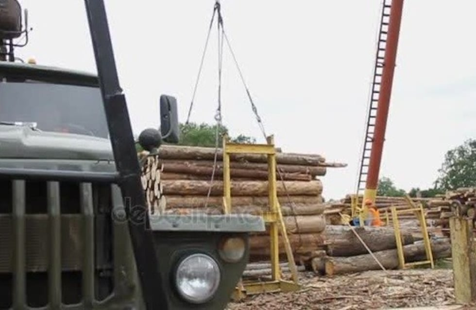 Un camionero está internado luego de ser golpeado por un tronco