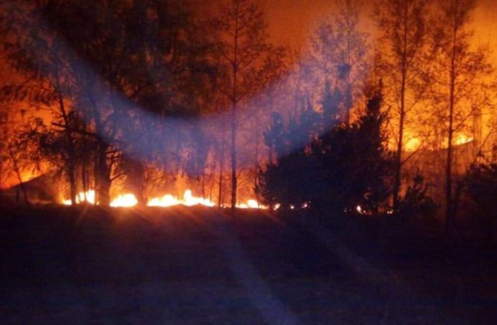 En imágenes, la devastación en Jáchal tras un incendio forestal