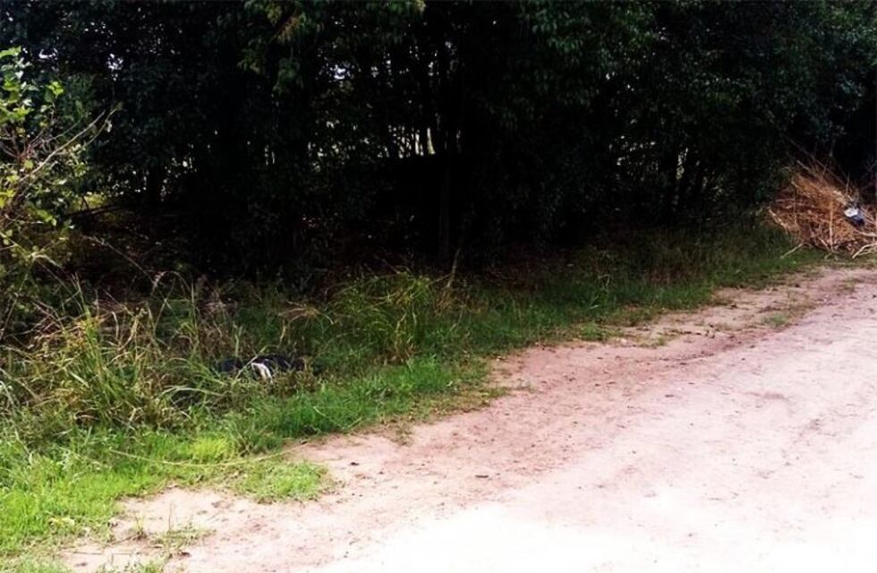 Crimen en Ibarlucea con un claro sello mafioso