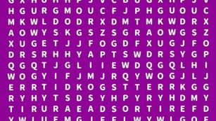 Acertijo visual para principiantes: ¿podrás encontrar la palabra “abejas” en 10 segundos? .