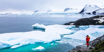 Los científicos sorprendieron al revelar un descubrimiento en la Antártida.