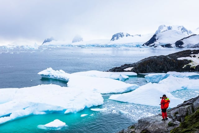 Los científicos sorprendieron al revelar un descubrimiento en la Antártida.