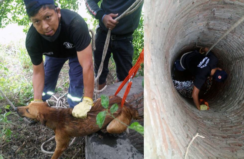 Bomberos rescataron a un perro que cayó a un pozo