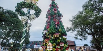 Comenzó la Fiesta de la Navidad con el tradicional encendido de las luces del árbol en Capioví