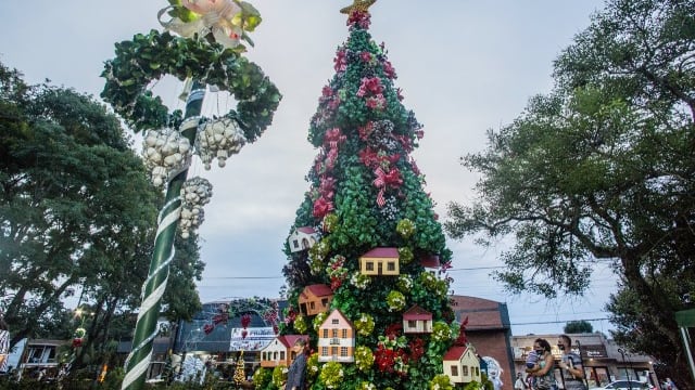 Comenzó la Fiesta de la Navidad con el tradicional encendido de las luces del árbol en Capioví
