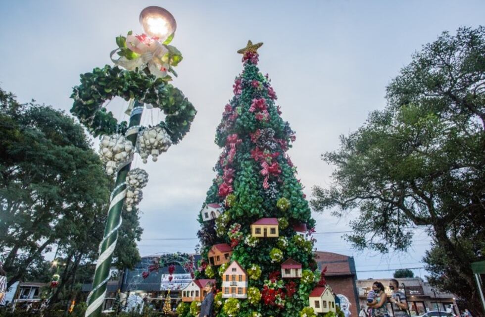 Comenzó la Fiesta de la Navidad con el tradicional encendido de las luces del árbol en Capioví