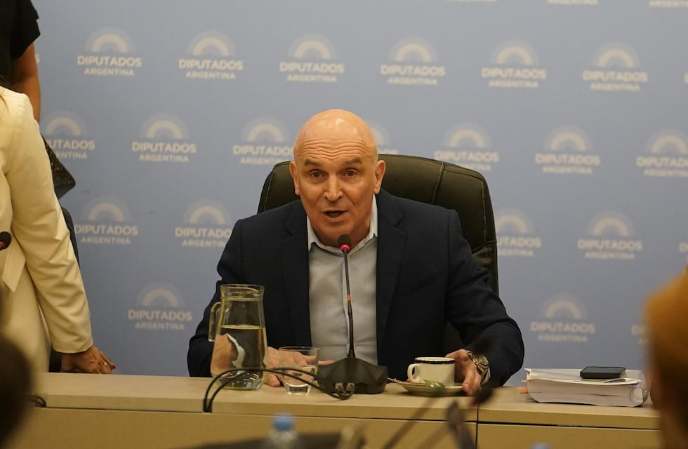 Según Espert, “el kirchnerismo se va a oponer a todo”, pero el resto de los bloques apoyarán “con modificaciones” la sanción de la ley ómnibus