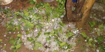 El granizo generó destrozos en Rivadavia y Santa Rosa