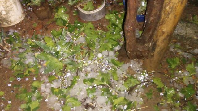 El granizo generó destrozos en Rivadavia y Santa Rosa