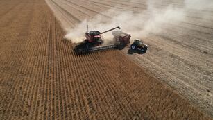 Prevén medidas para el campo.